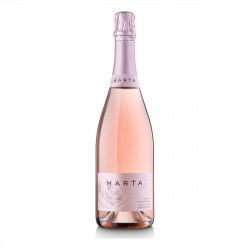 Rosé Wine Ramon Canals...