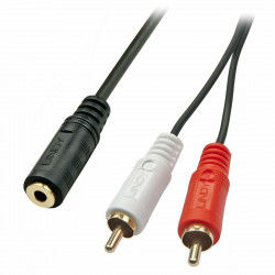 Audio Jack to RCA Cable...
