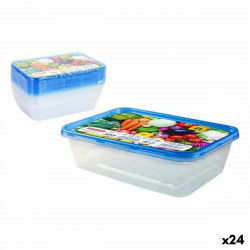 Set of 10 lunch boxes...