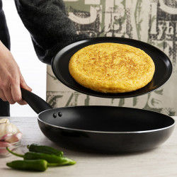 Non-stick frying pan Quid...
